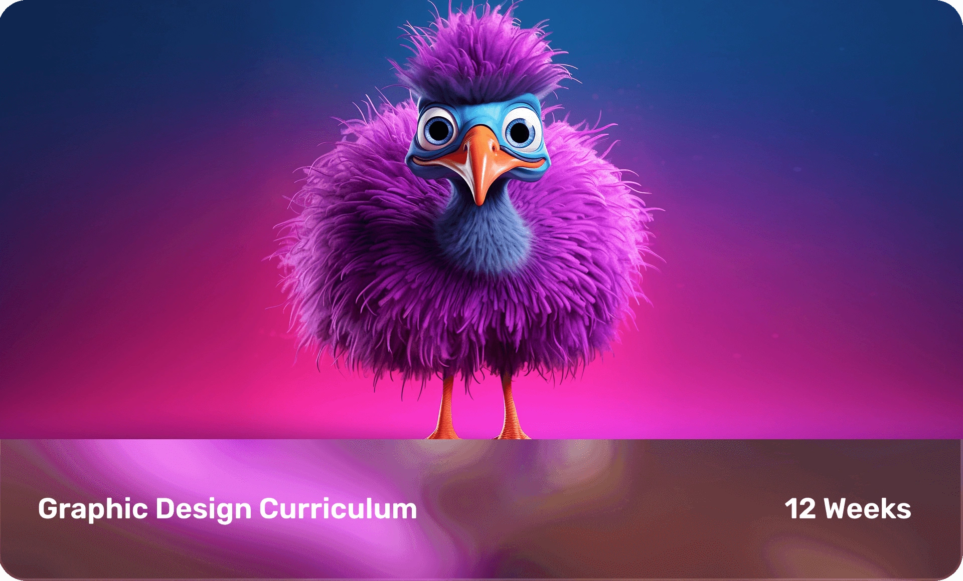 Graphic Design institute in Pune offering Motion Graphics course