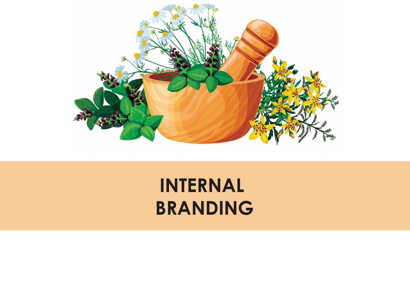 Graphic design classes in Pune